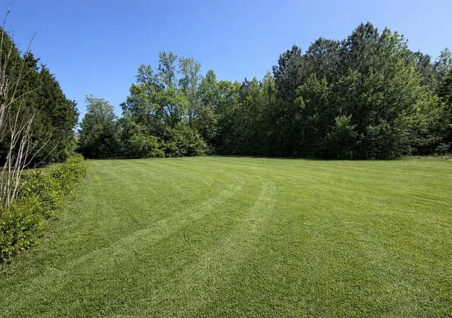 Homes for sale in Marion, SC | Lot 2 Miles Ct, Marion, SC 29571 | MLS# 2609536