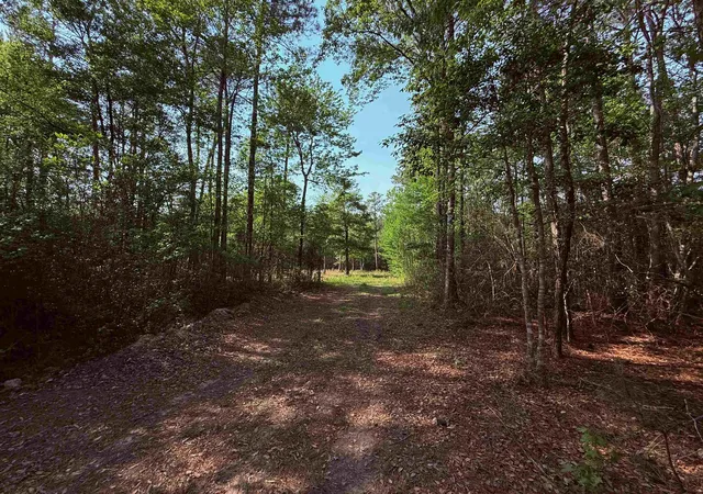 Photo 3 of Land for sale at 2400 Sunny Hts Rd, Longs, SC 29568 | MLS# 2609645 | Listing updated on 2026-07-26