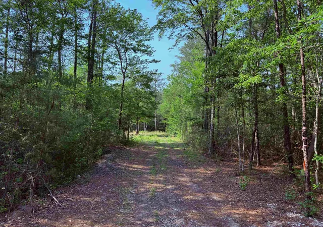 Photo 4 of Land for sale at 2400 Sunny Hts Rd, Longs, SC 29568 | MLS# 2609645 | Listing updated on 2026-07-26