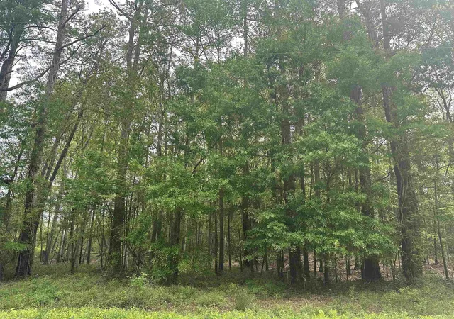 2nd image of Tbd Creekside Dr, Myrtle Beach, SC 29588 | MLS# 2609679