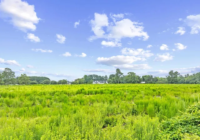 Photo 3 of Land for sale at Tbd Lot 4 St Joseph Dr, Green Sea, SC 29545 | MLS# 2609945 | Listing updated on 2026-07-18