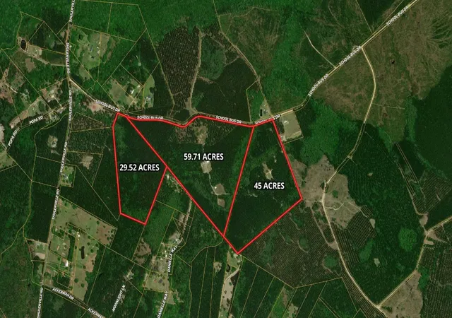 1st image of 1267 School Bus Rd, Jamestown, SC 29453 | MLS# 2610029