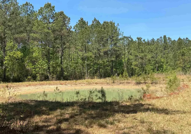 24th image of 1267 School Bus Rd, Jamestown, SC 29453 | MLS# 2610029