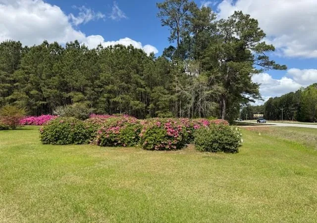 5th image of 3745 Hwy 501, Conway, SC 29526 | MLS# 2610225