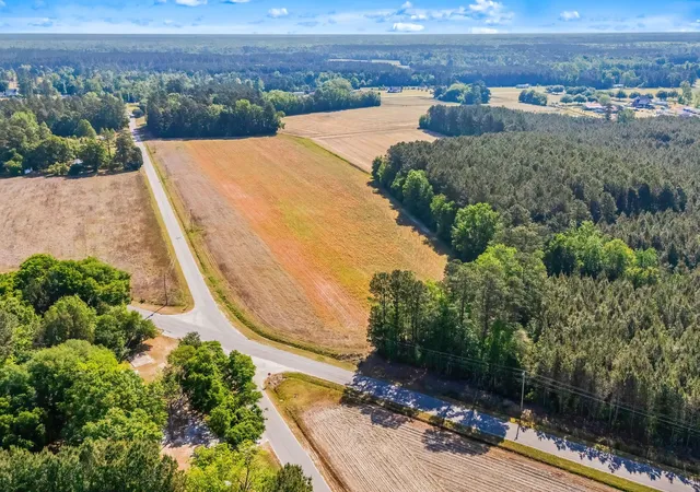 Homes for sale in Hemingway, SC | Tbd Ray Rd, Hemingway, SC 29554 | MLS# 2610319