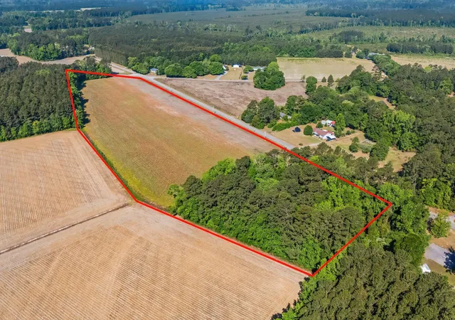 Homes for sale in Hemingway, SC | Tbd Ray Rd, Hemingway, SC 29554 | MLS# 2610319