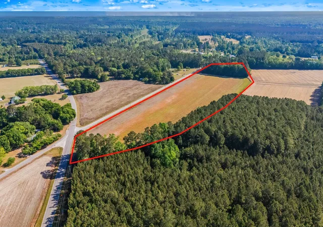 Homes for sale in Hemingway, SC | Tbd Ray Rd, Hemingway, SC 29554 | MLS# 2610319
