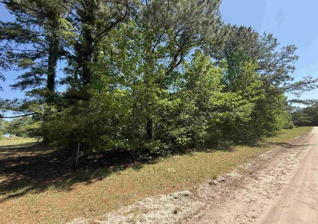 Homes for sale in Nichols, SC | Tbd New Bridge Rd, Nichols, SC 29581 | MLS# 2610355