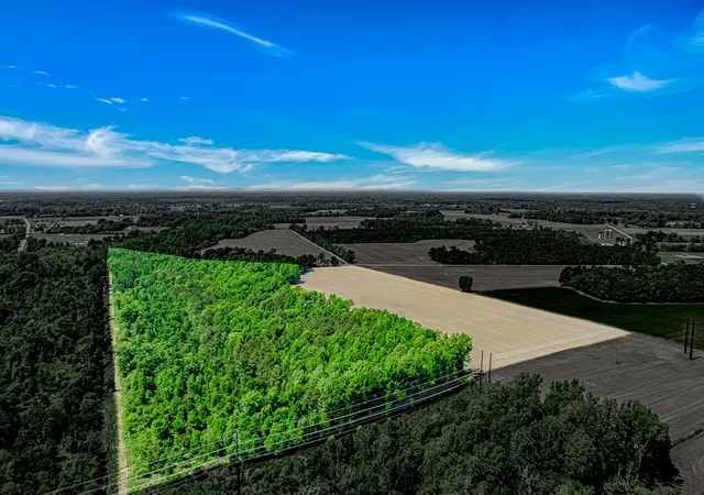 1st image of Tbd Trinidad Ard Rd, Coward, SC 29530 | MLS# 2610548