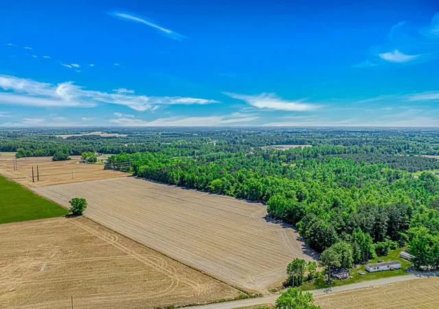 2nd image of Tbd Trinidad Ard Rd, Coward, SC 29530 | MLS# 2610548