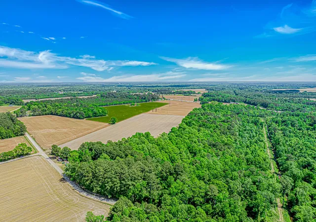 4th image of Tbd Trinidad Ard Rd, Coward, SC 29530 | MLS# 2610548