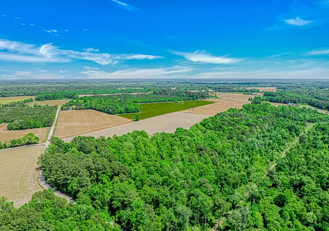 5th image of Tbd Trinidad Ard Rd, Coward, SC 29530 | MLS# 2610548