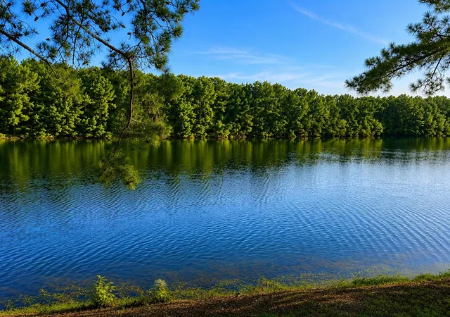2nd image of 317 Long Meadow Dr, Loris, SC 29569 | MLS# 2610680
