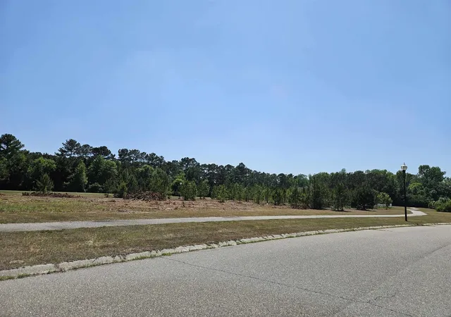18th image of 543 Mingo Trail, Johnsonville, SC 29555 | MLS# 2610684