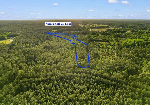 Homes for sale in Loris, SC | Tbd Mount Olive Church Rd, Loris, SC 29569 | MLS# 2610698