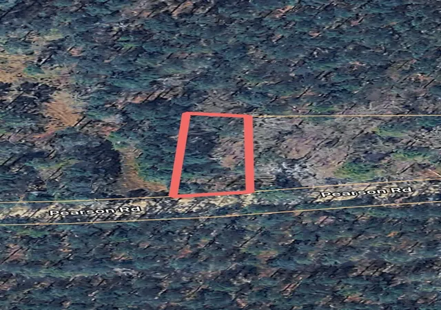 Homes for sale in Manning, SC | Tbd Pearson Rd, Manning, SC 29102 | MLS# 2610826