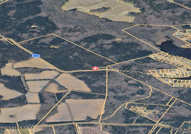 Homes for sale in Manning, SC | Tbd Pearson Rd, Manning, SC 29102 | MLS# 2610826