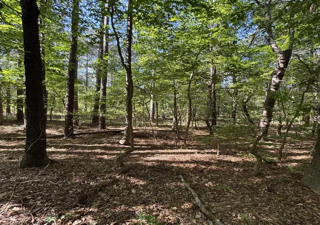 Homes for sale in Manning, SC | Tbd Pearson Rd, Manning, SC 29102 | MLS# 2610826
