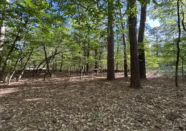 Homes for sale in Manning, SC | Tbd Pearson Rd, Manning, SC 29102 | MLS# 2610826