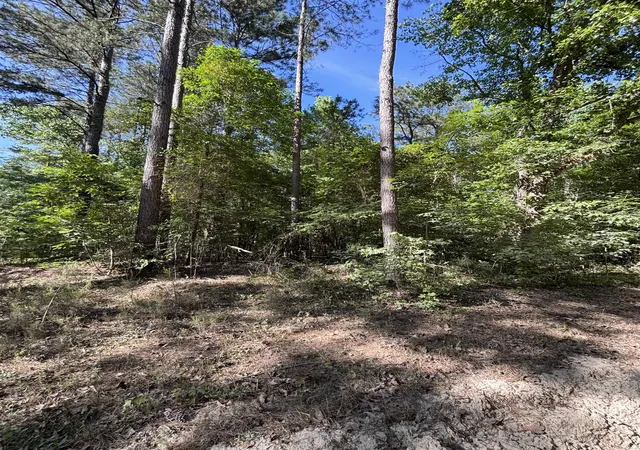 Homes for sale in Manning, SC | Tbd Pearson Rd, Manning, SC 29102 | MLS# 2610826