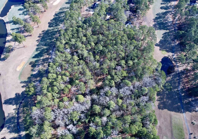 Photo 3 of Sale Pending at 22 Lots   Goelet Ct, Georgetown, SC 29440 | MLS# 2610854 | Listing updated on 2026-10-05