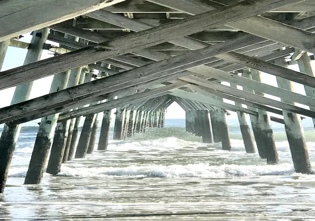 19th image of 19 Cattle Run Ln #19, Carolina Shores, NC 28467 | MLS# 2610901
