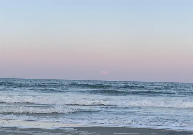 Homes for sale in Surfside Beach, SC | 246 Lifestyle Court, Surfside Beach, SC 29575 | MLS# 2611003