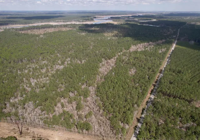 Homes for sale in Georgetown, SC | Tract C   Tbd Pennyroyal Rd, Georgetown, SC 29440 | MLS# 2611009