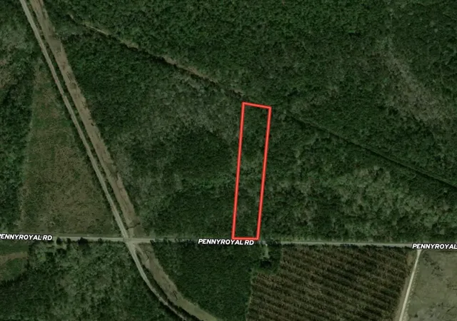 Homes for sale in Georgetown, SC | Tract C   Tbd Pennyroyal Rd, Georgetown, SC 29440 | MLS# 2611009