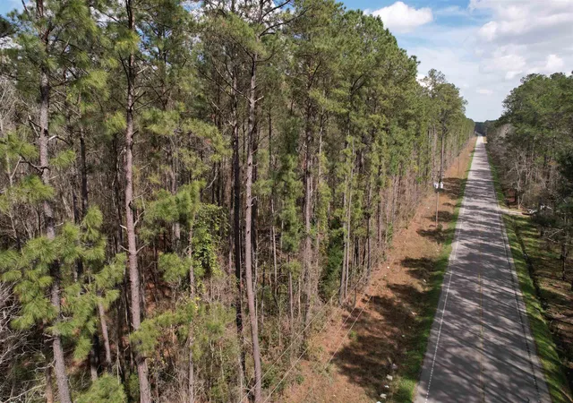 Homes for sale in Georgetown, SC | Tract C   Tbd Pennyroyal Rd, Georgetown, SC 29440 | MLS# 2611009