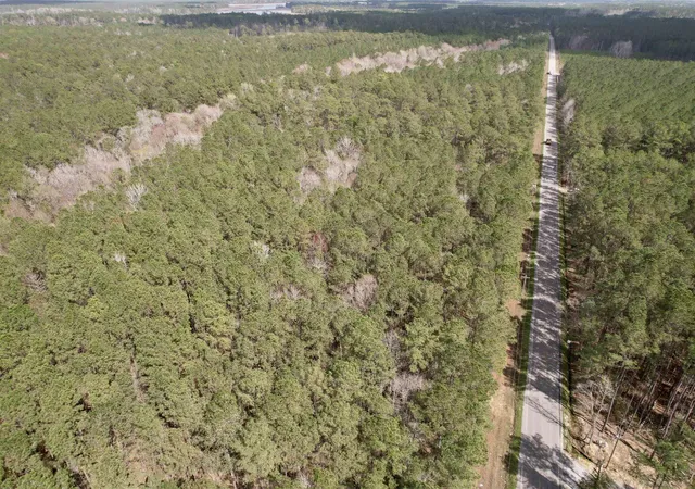 Homes for sale in Georgetown, SC | Tract C - Tbd Pennyroyal Rd, Georgetown, SC 29440 | MLS# 2611009
