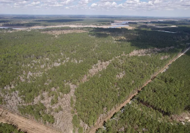 Homes for sale in Georgetown, SC | Tract C - Tbd Pennyroyal Rd, Georgetown, SC 29440 | MLS# 2611009