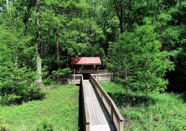 3rd image of 134 Lookout Dr, Cordova, SC 29039 | MLS# 2611234