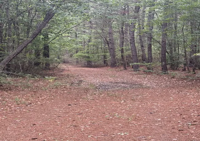 Photo 3 of Land for sale at 452 Tram Rd, Cades, SC 29518 | MLS# 2611290 | Listing updated on 2026-09-22
