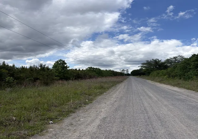 Photo 3 of Land for sale at 452 Tram Rd, Cades, SC 29518 | MLS# 2611290 | Listing updated on 2026-09-22