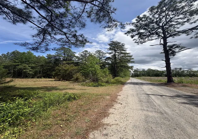Photo 4 of Land for sale at 452 Tram Rd, Cades, SC 29518 | MLS# 2611290 | Listing updated on 2026-09-22