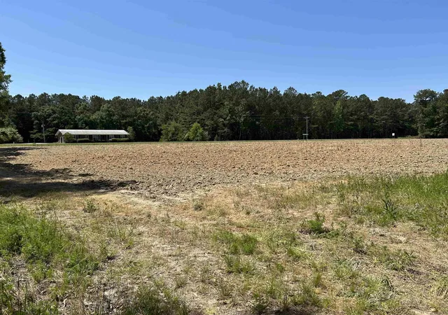 Homes for sale in Hemingway, SC | Tbd Pleasant Hill Dr, Hemingway, SC 29554 | MLS# 2611322