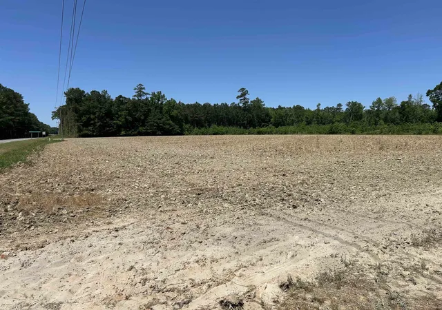 Homes for sale in Hemingway, SC | Tbd Pleasant Hill Dr, Hemingway, SC 29554 | MLS# 2611322