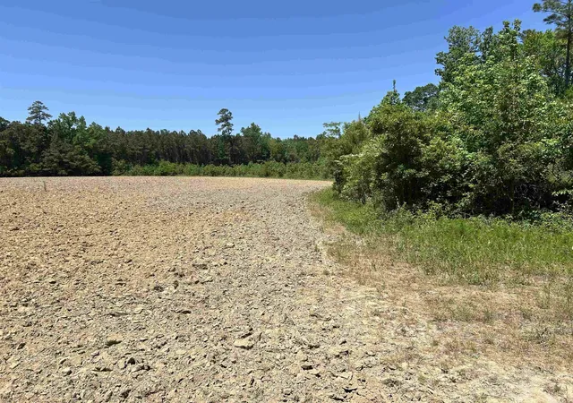 Homes for sale in Hemingway, SC | Tbd Pleasant Hill Dr, Hemingway, SC 29554 | MLS# 2611322