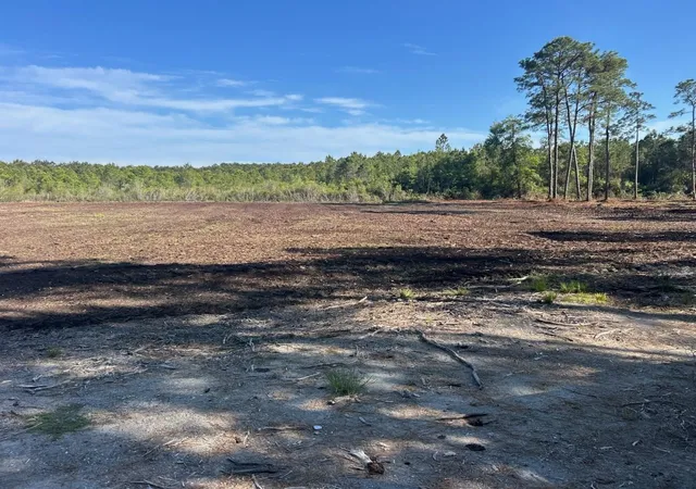 Photo 1 of Sale Pending at Tbd Pecan St, Little River, SC 29566 | MLS# 2611429 | Listing updated on 2026-06-26