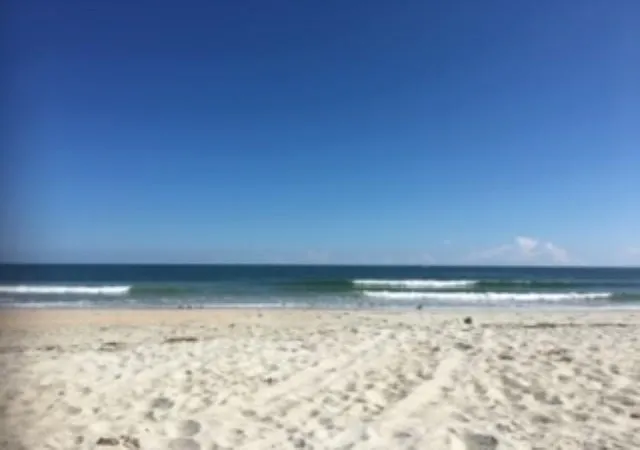 66th image of 1537 Gulfstream Ct, Myrtle Beach, SC 29575 | MLS# 2611538