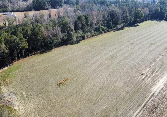 Homes for sale in Nichols, SC | Tbd Hwy 917, Nichols, SC 29581 | MLS# 2611578