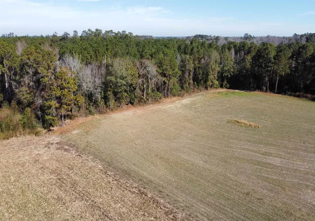 Homes for sale in Nichols, SC | Tbd Hwy 917, Nichols, SC 29581 | MLS# 2611578