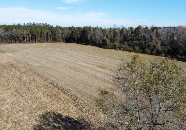 Homes for sale in Nichols, SC | Tbd Hwy 917, Nichols, SC 29581 | MLS# 2611578