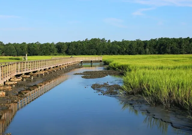 38th image of 138 Anna Marie Way, Murrells Inlet, SC 29576 | MLS# 2611674