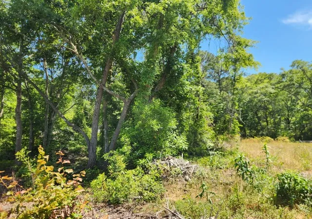 1st image of 9 Ditch Digger Ln, Murrells Inlet, SC 29576 | MLS# 2611709