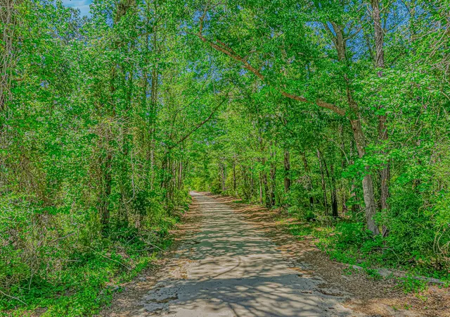 Land for sale at Tbd Piney Grv Church Rd, Gresham, SC 29546 | MLS# 2612073