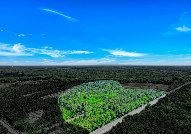 Photo 2 of Land for sale at Tbd Piney Grv Church Rd, Gresham, SC 29546 | MLS# 2612073 | Listing updated on 2026-05-10