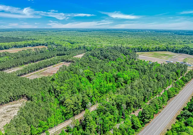 Photo 4 of Land for sale at Tbd Piney Grv Church Rd, Gresham, SC 29546 | MLS# 2612073 | Listing updated on 2026-05-10