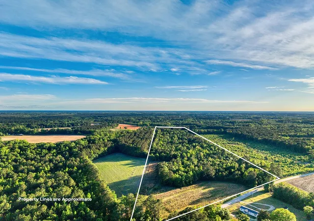 Homes for sale in Hemingway, SC | Tbd Chair Rd, Hemingway, SC 29554 | MLS# 2612080